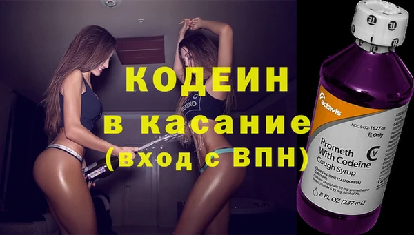 гашик Алексин
