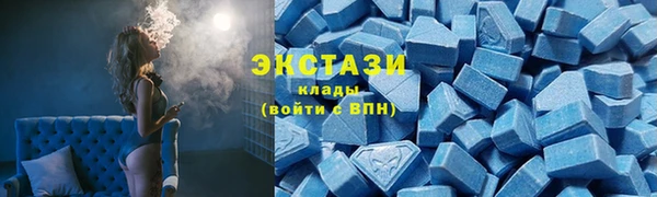 гашик Алексин