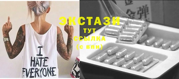 гашик Алексин