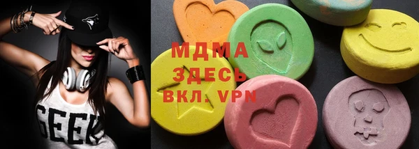 гашик Алексин