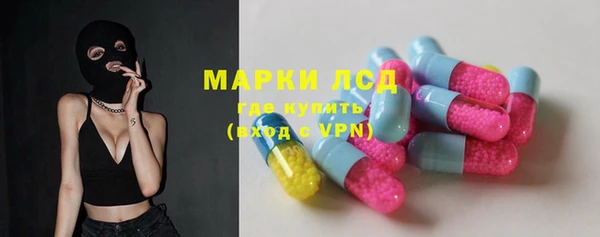 гашик Алексин