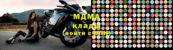 гашик Алексин