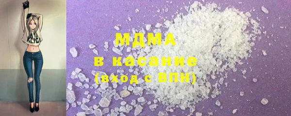 гашик Алексин