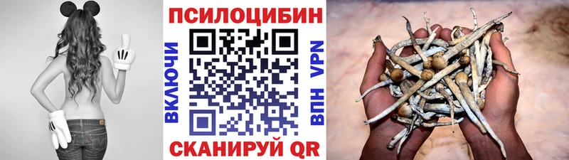 Галлюциногенные грибы GOLDEN TEACHER где продают наркотики Долинск